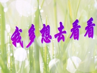 我多想去看看 (2)