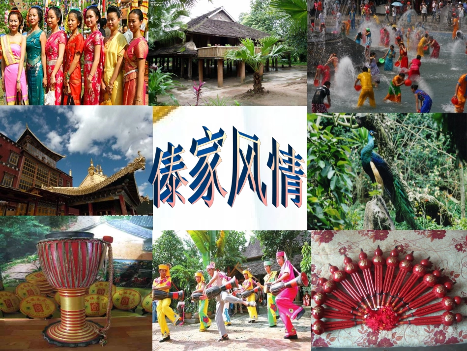 《金孔雀轻轻跳》吴宁_第3页