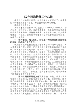 XX年精准扶贫工作总结 (3)