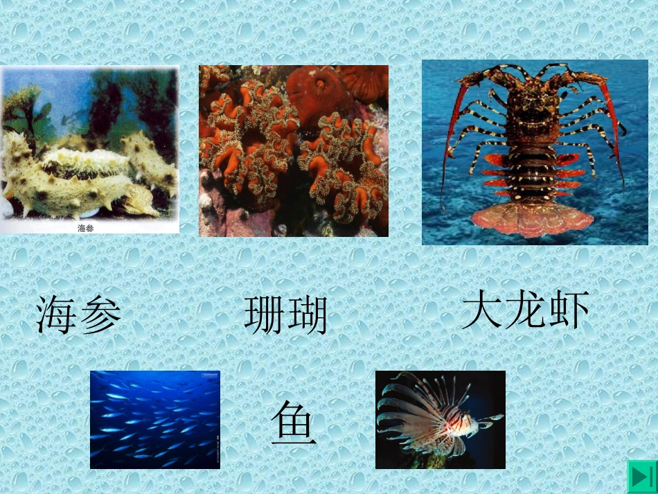 做好的西沙群岛_第2页