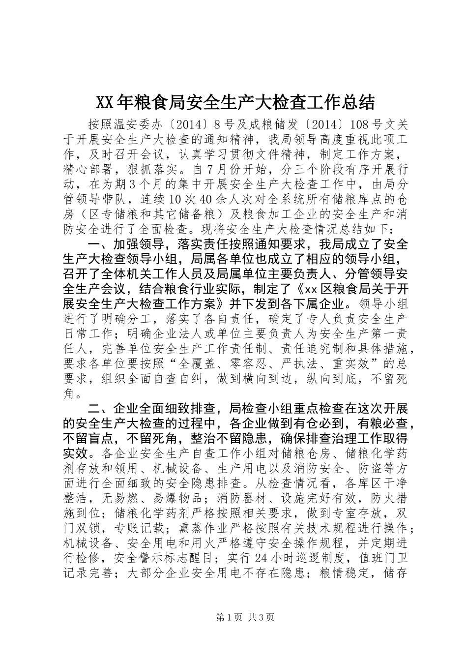 XX年粮食局安全生产大检查工作总结_第1页