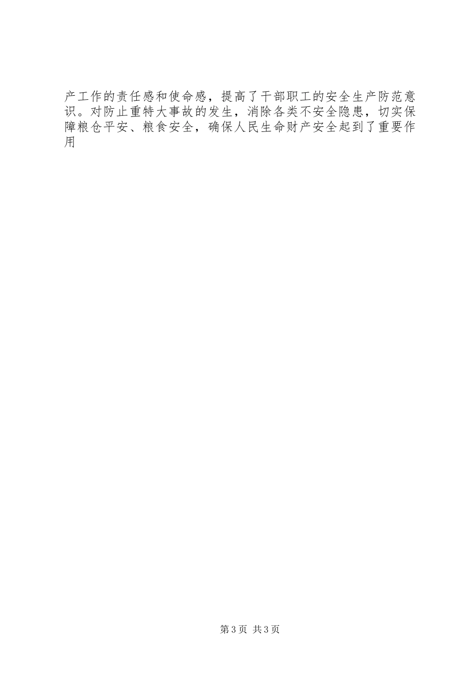 XX年粮食局安全生产大检查工作总结_第3页