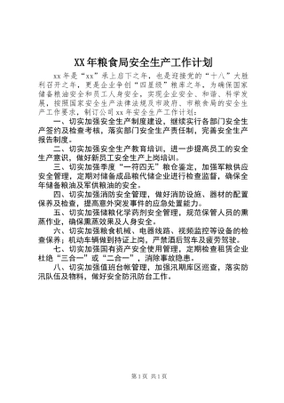 XX年粮食局安全生产工作计划