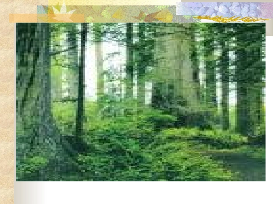 圆柱与圆锥(新)_第2页