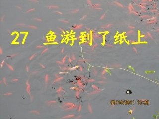 鱼游到了纸上 (2)