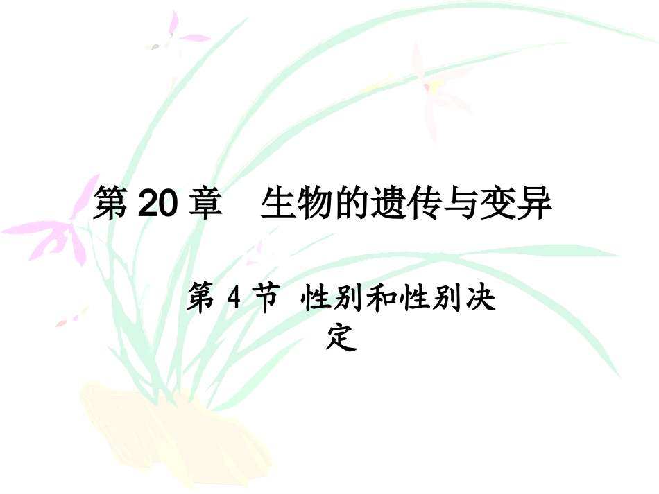 北师大版八上第二十章第四节性别和性别决定（共29张PPT）[1]_第1页