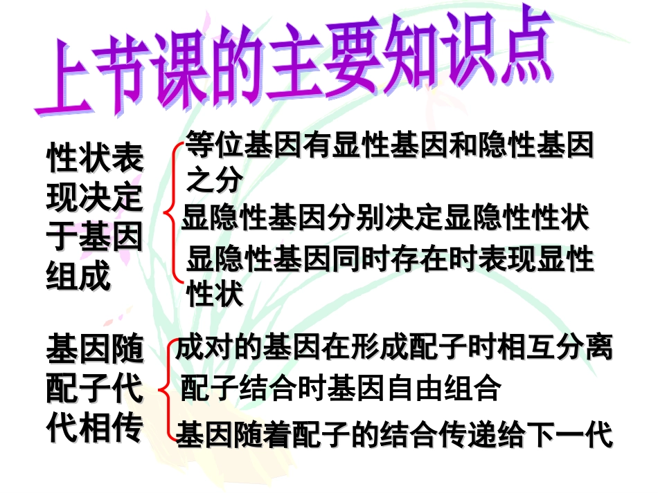 北师大版八上第二十章第四节性别和性别决定（共29张PPT）[1]_第2页