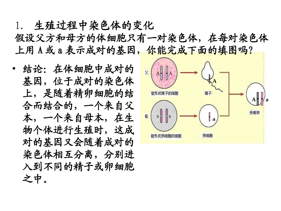 北师大版八上第二十章第四节性别和性别决定（共29张PPT）[1]_第3页