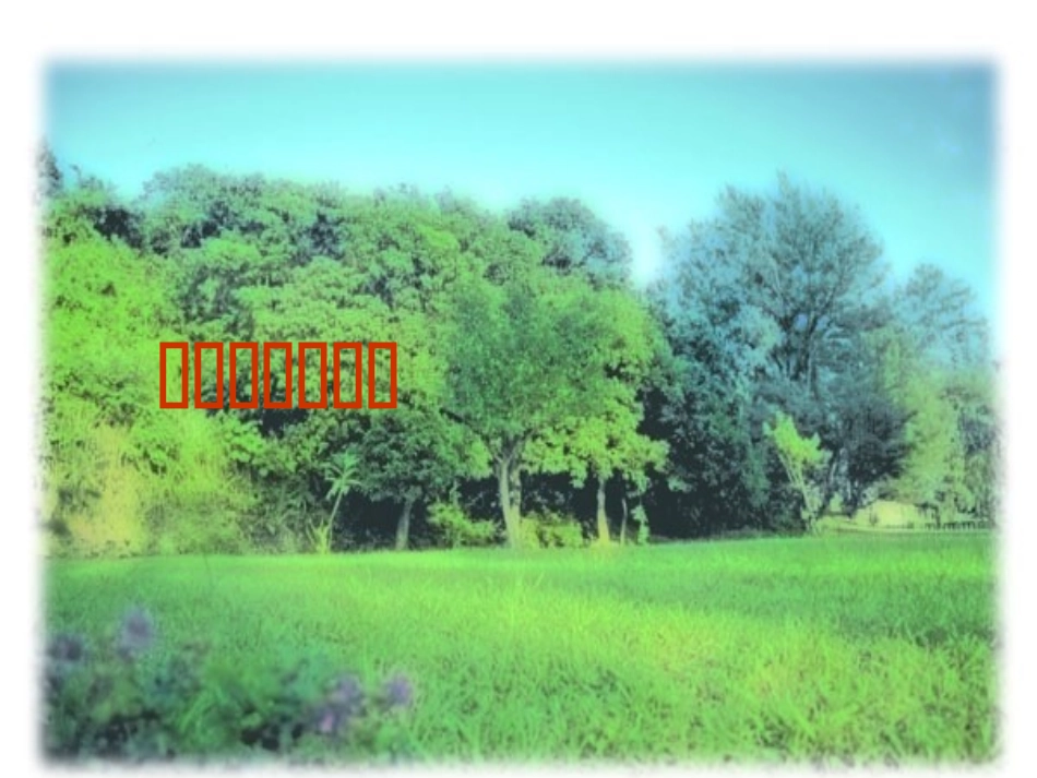 直角的初步认识课件_第1页