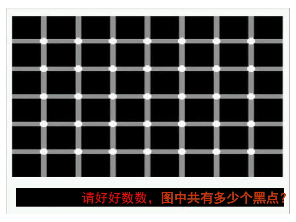 边立斌落日的幻觉_第1页