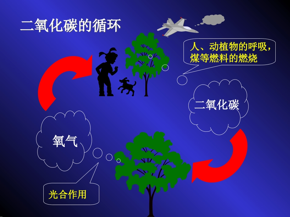 二氧化碳和一氧化碳 (2)_第2页