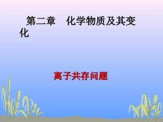 离子共存问题