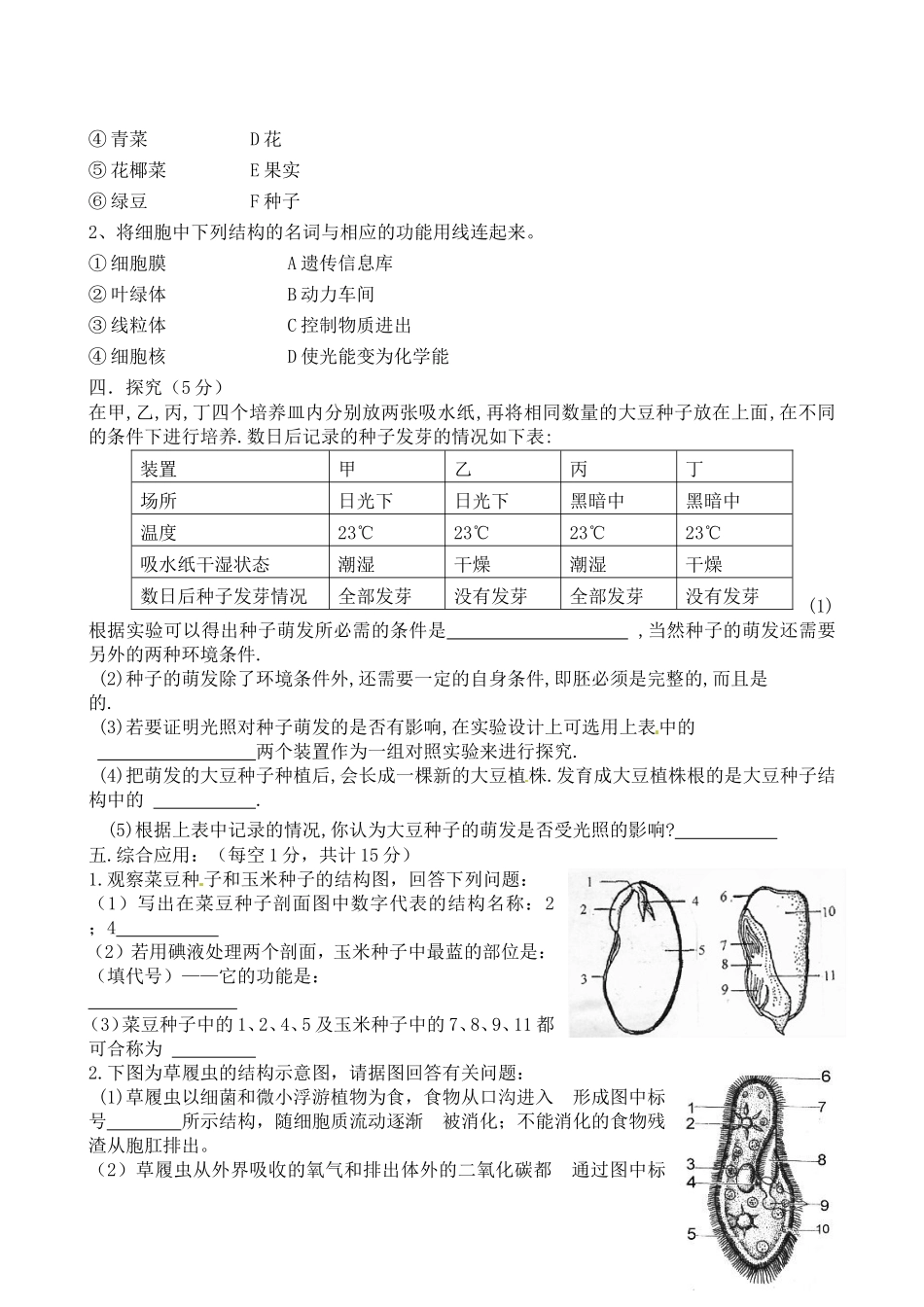张娟娟考试题_第3页