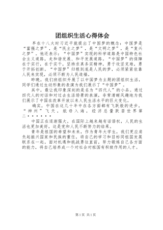 团组织生活心得体会