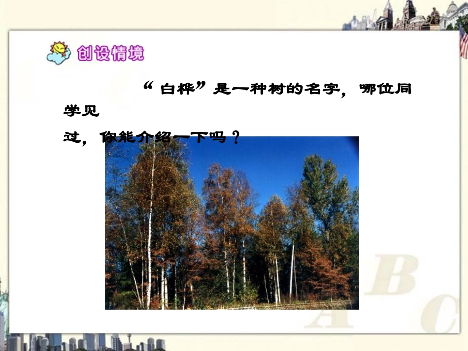 （北师大版）六年级语文上册课件白桦林的低语1_第3页