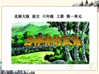 （北师大版）六年级语文上册课件白桦林的低语1