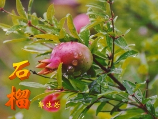 三疑三探课件