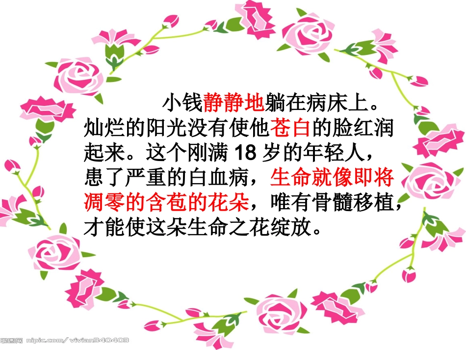 跨越海峡的生命桥11_第3页