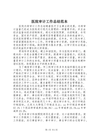 医院审计工作总结范本