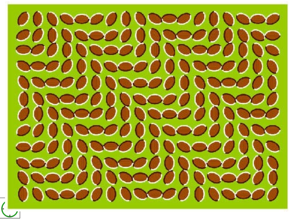 为什么要证明_第2页