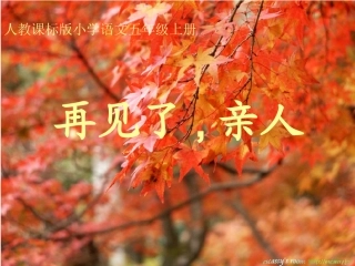 《再见了亲人》公开课课件2