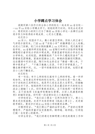 小学蹲点学习体会
