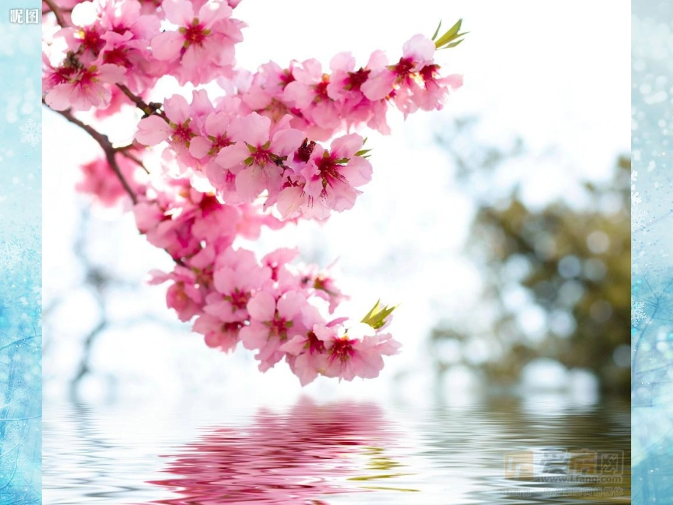 七年级下册《日本》课件_第1页