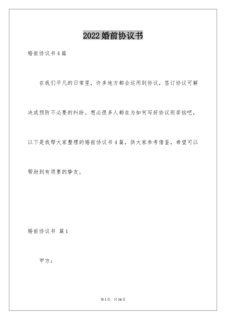 2024婚前协议书_21