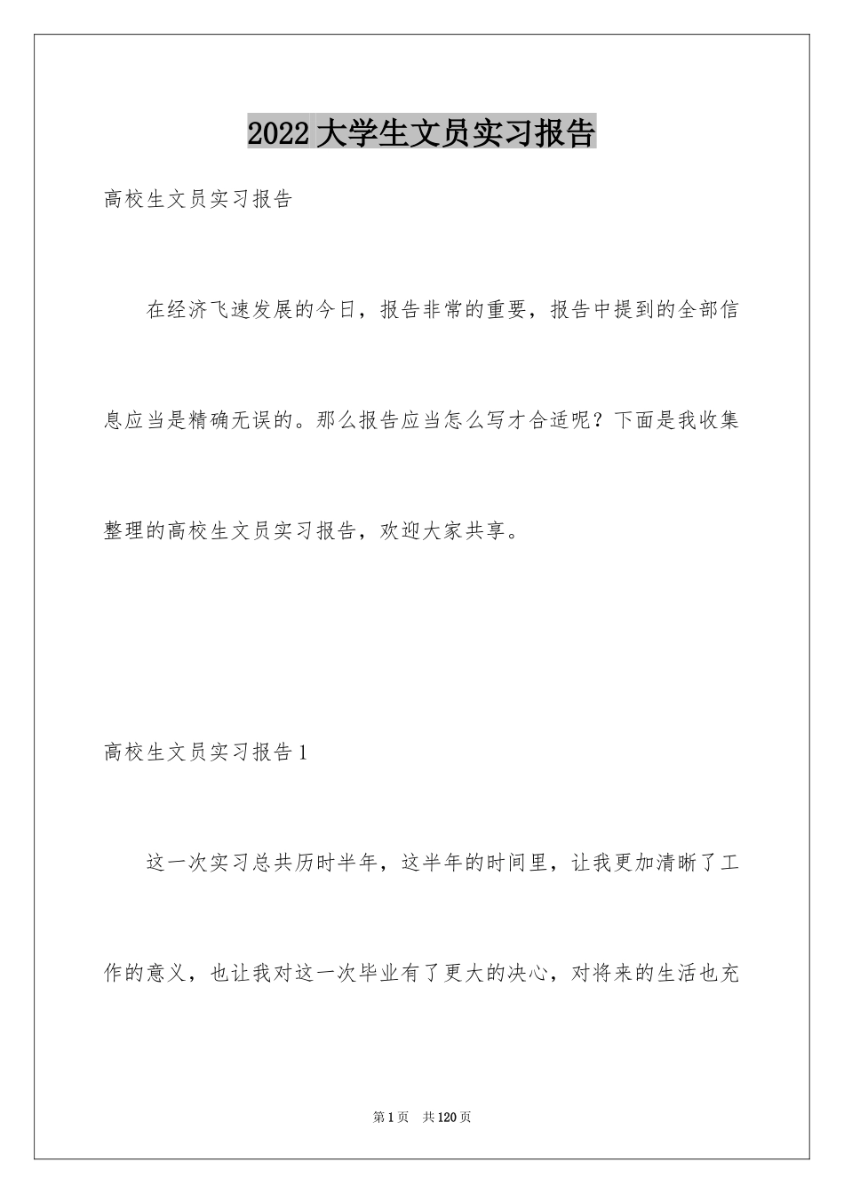 2024大学生文员实习报告_第1页