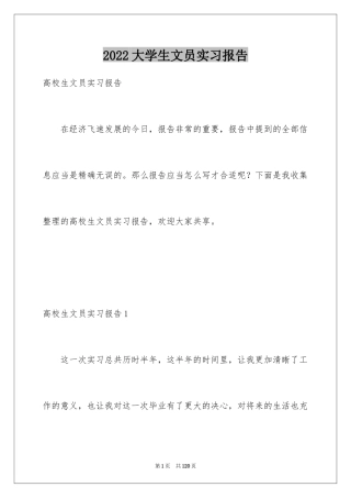 2024大学生文员实习报告