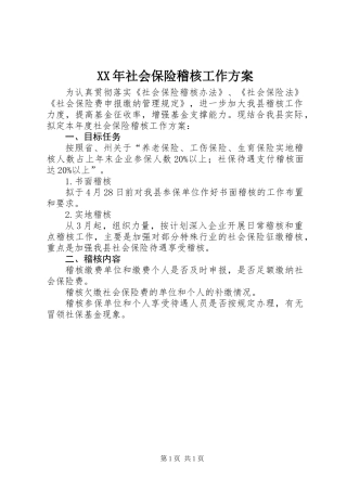 XX年社会保险稽核工作方案