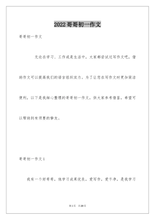 2024哥哥初一作文