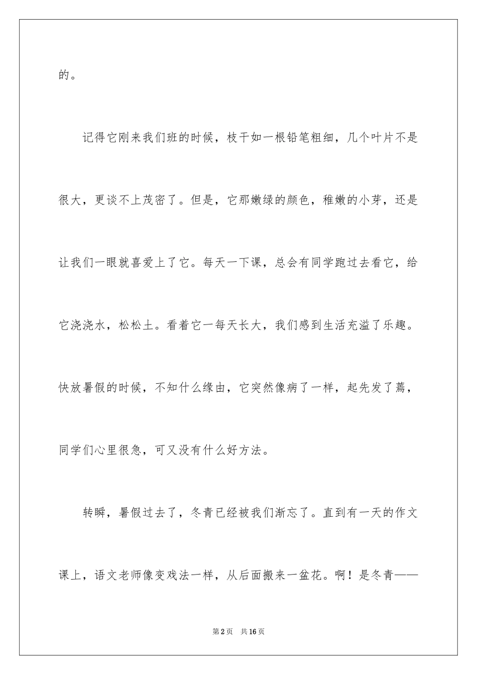 2024写冬青的作文300字_1_第2页