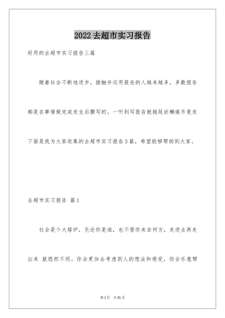 2024去超市实习报告_73