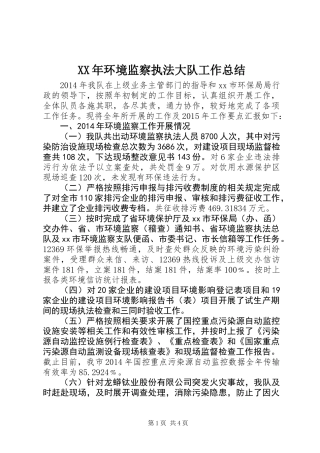 XX年环境监察执法大队工作总结