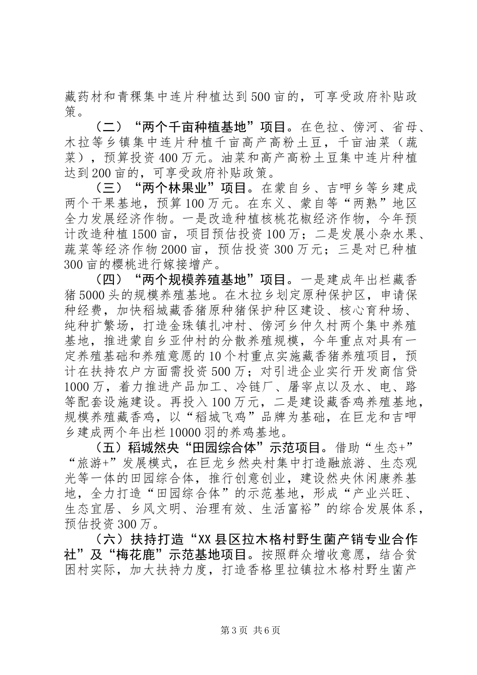 XX年特色产业发展工作要点_第3页