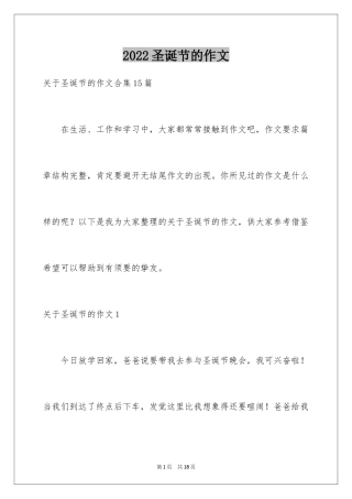 2024圣诞节的作文_18