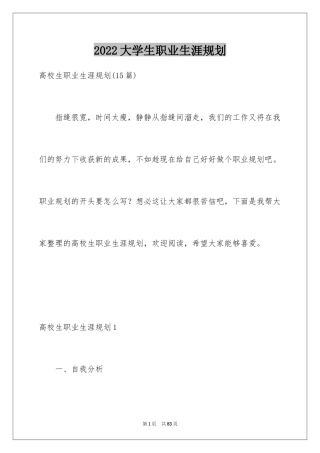 2024大学生职业生涯规划_10