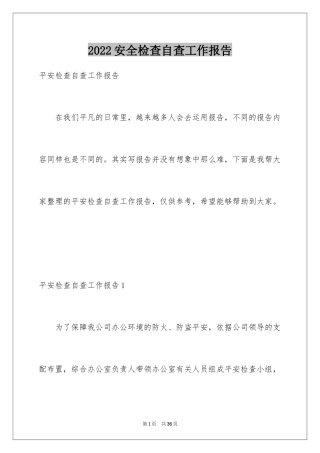 2024安全检查自查工作报告