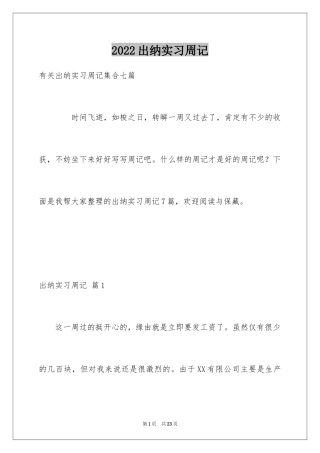 2024出纳实习周记_18
