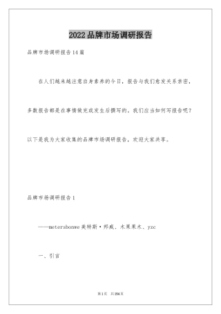 2024品牌市场调研报告