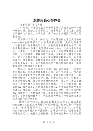 友善用脑心得体会