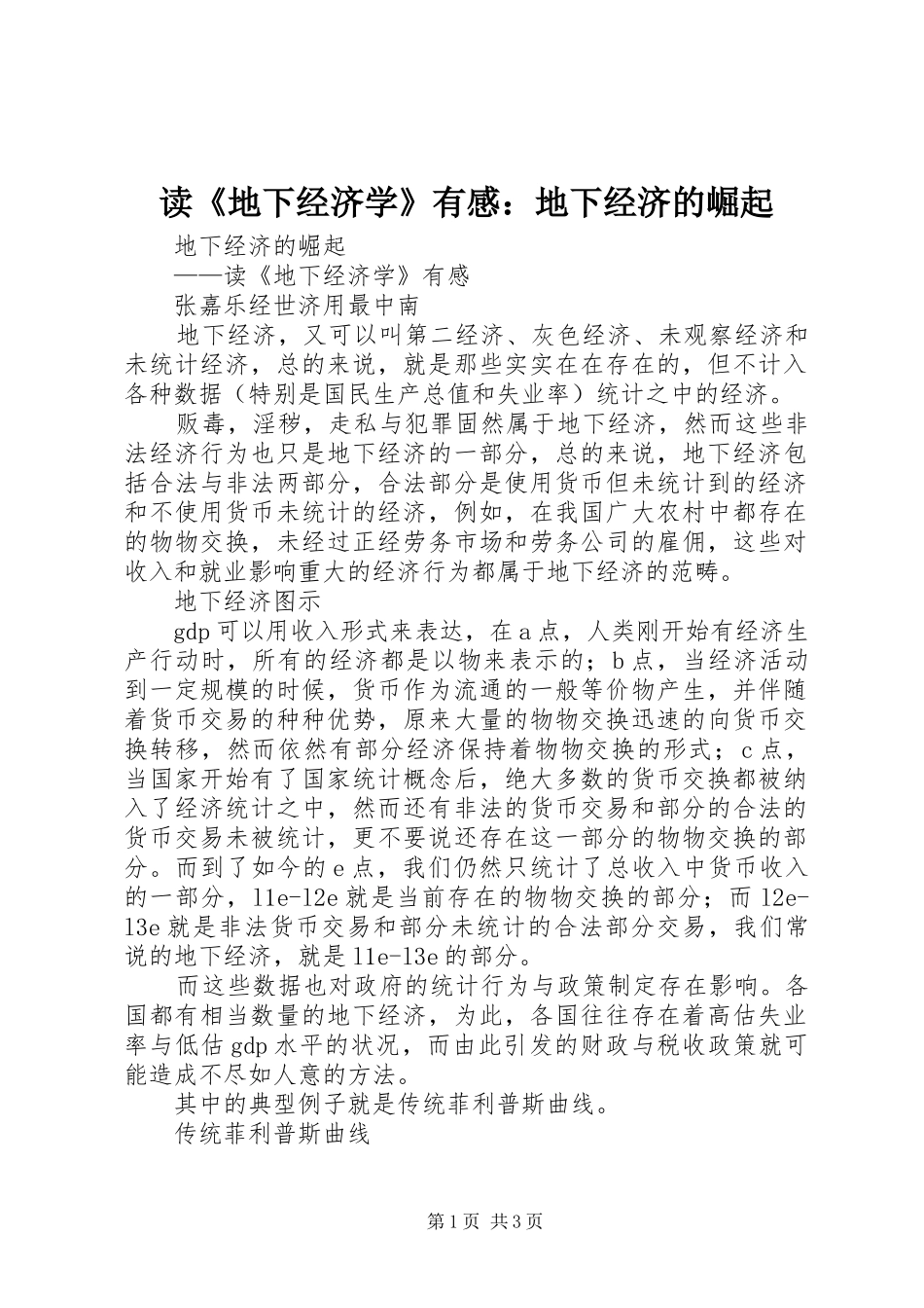 读《地下经济学》有感：地下经济的崛起_第1页