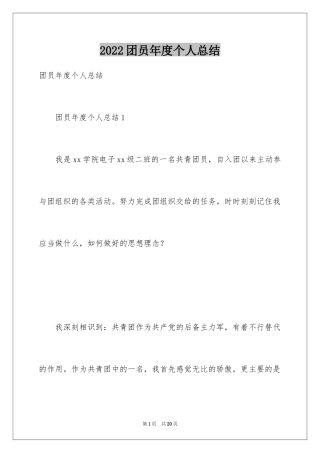 2024团员年度个人总结