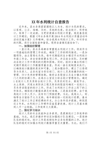 XX年水利统计自查报告