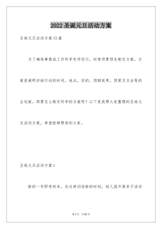 2024圣诞元旦活动方案