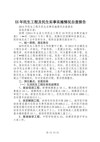 XX年民生工程及民生实事实施情况自查报告