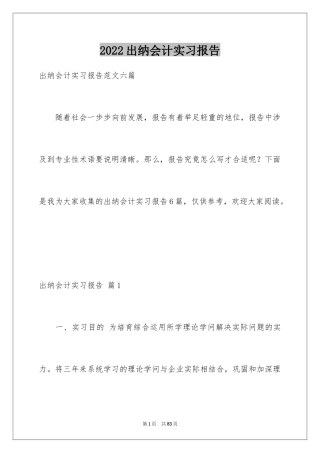 2024出纳会计实习报告_4