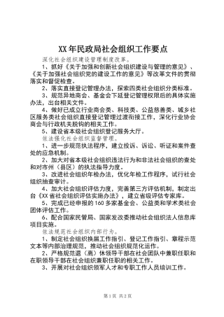 XX年民政局社会组织工作要点