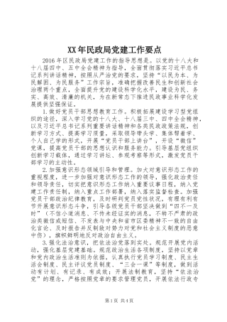 XX年民政局党建工作要点 (2)